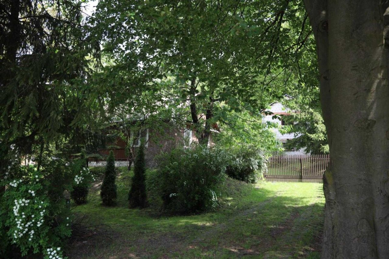 dom wolnostojący Rogóźno-Kolonia. Zdjęcie 7