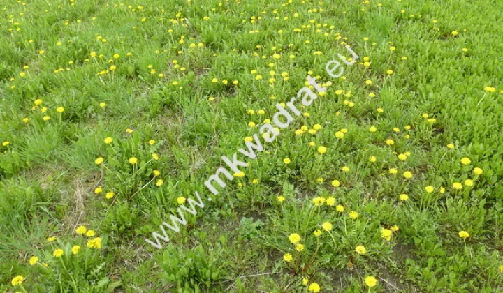 Działka budowlana Michałowice