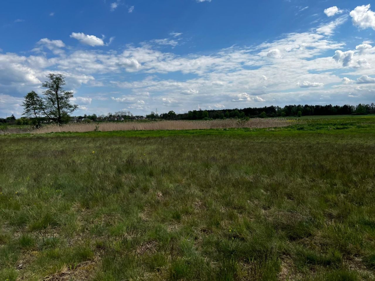 Działka rolna Kołczyn, Kołczyn. Zdjęcie 9