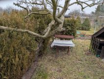 Działka rod Opole. Zdjęcie 2