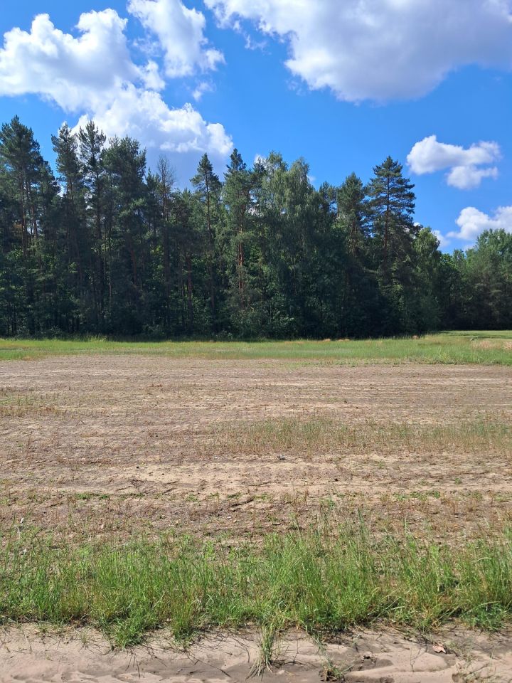 Działka budowlana Kurzelów Laski, ul. Laski. Zdjęcie 2