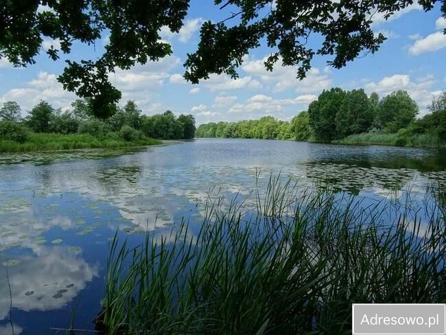 Działka inwestycyjna Otwock Wielki, ul. Zamkowa. Zdjęcie 3