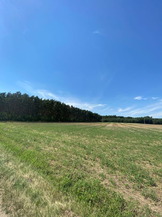 Działka budowlana Studzianna. Zdjęcie 3