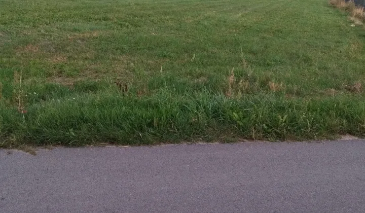 Działka rolno-budowlana Obłudzin