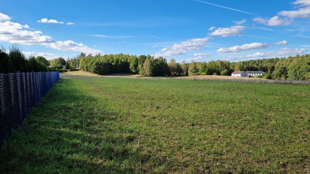 Działka budowlana Kamienica Królewska. Zdjęcie 1