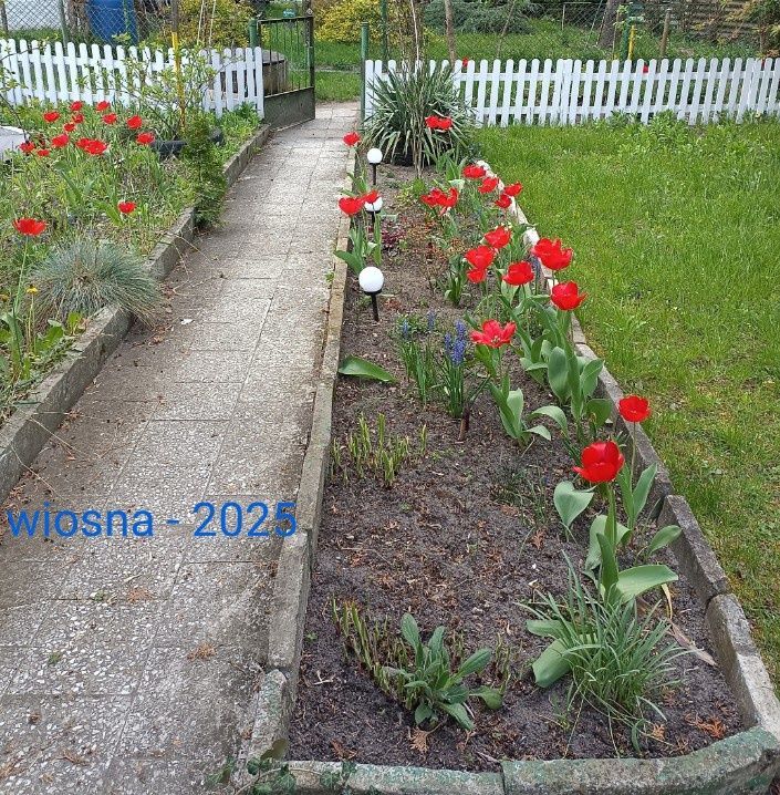 Działka rod Warszawa Włochy. Zdjęcie 5