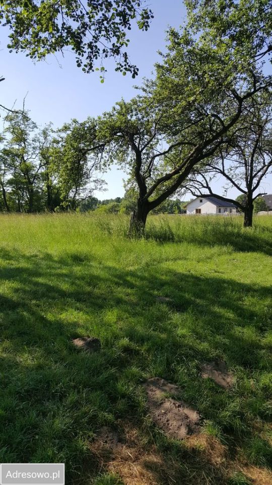 Działka inwestycyjna Żarki, ul. Koziegłowska. Zdjęcie 6