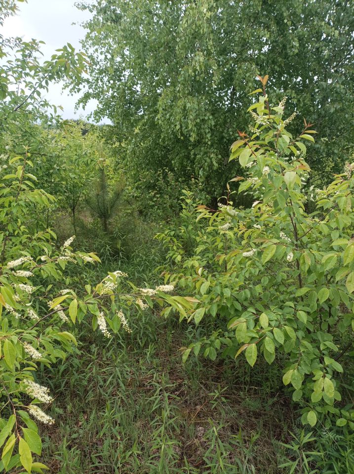 Działka inna Łódź Lublinek, ul. Maratońska. Zdjęcie 5