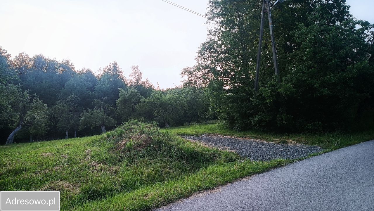 Działka rolno-budowlana Bierówka. Zdjęcie 3