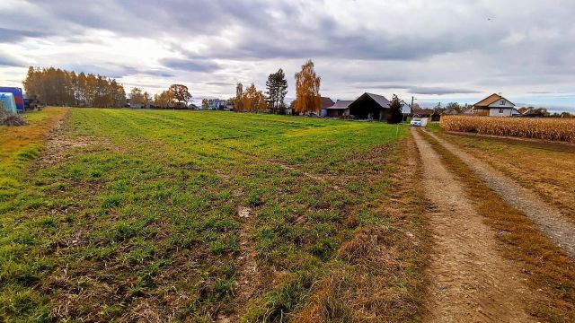 Działka budowlana Cichawa Zygmuntów. Zdjęcie 1