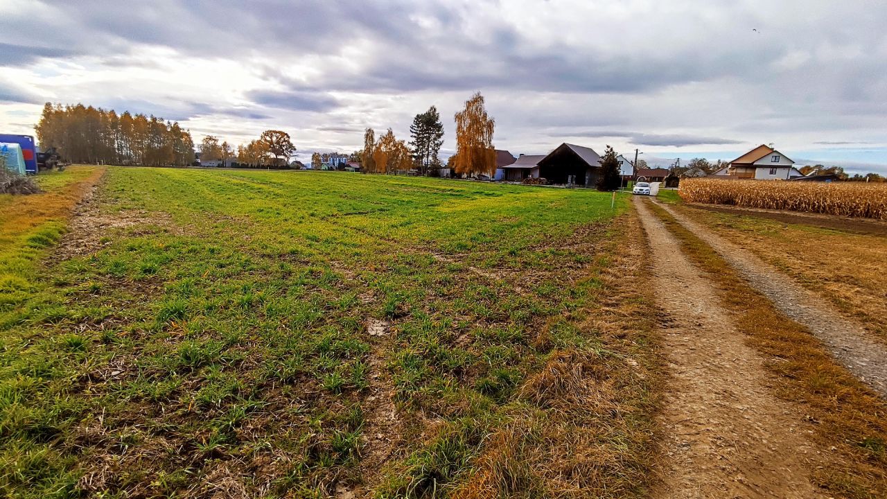 Działka budowlana Cichawa Zygmuntów