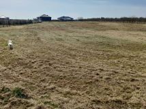 Działka rolna Skwierzyna, ul. Międzyrzecka. Zdjęcie 2