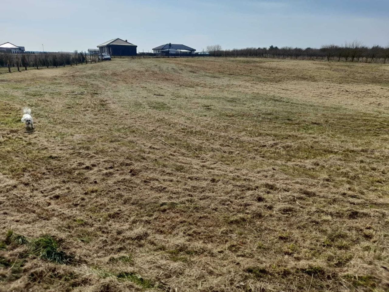 Działka rolna Skwierzyna, ul. Międzyrzecka. Zdjęcie 3