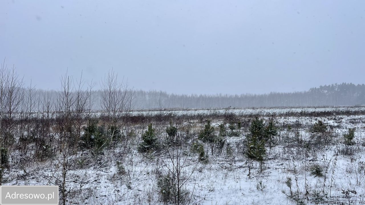 Działka budowlana Siestrzeń. Zdjęcie 10