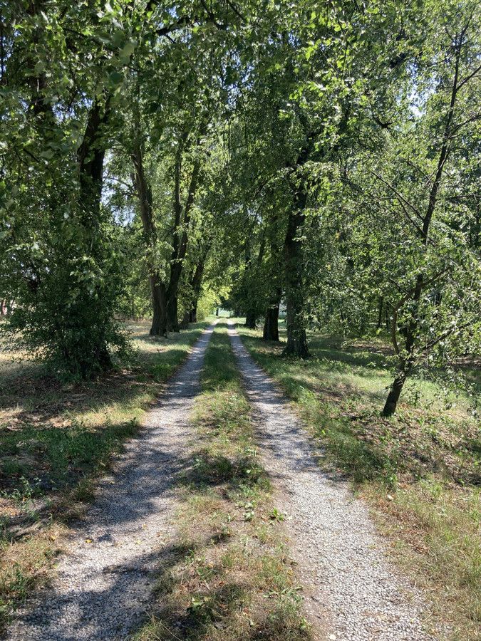 dom wolnostojący, 6 pokoi Strzeszkowice Duże Strzeszkowice Duże-Kolonia. Zdjęcie 15