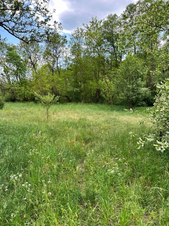 dom wolnostojący Pogorzelec. Zdjęcie 5