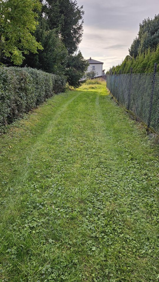 Działka inwestycyjna Palikówka. Zdjęcie 3