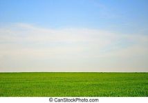 Działka rolna Lubiechnia Wielka. Zdjęcie 1