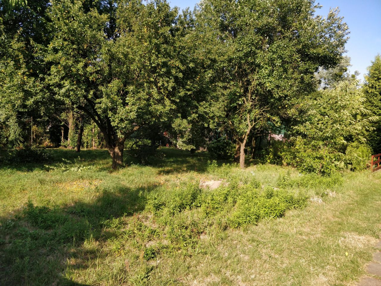 Działka rod Łódź Widzew, ul. Telefoniczna. Zdjęcie 3