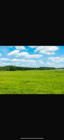 Działka budowlana Kamela, ul. Jeziorna. Zdjęcie 1