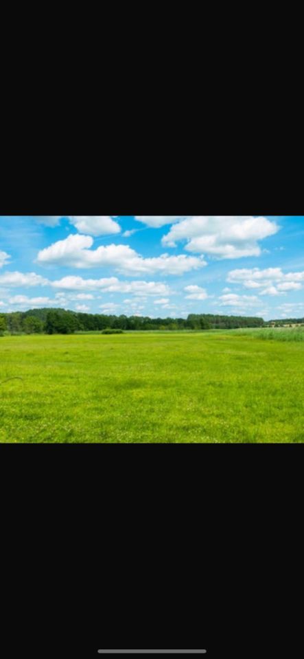 Działka budowlana Kamela, ul. Jeziorna