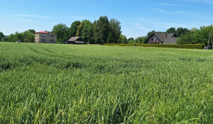 Działka budowlana Kończyce Małe