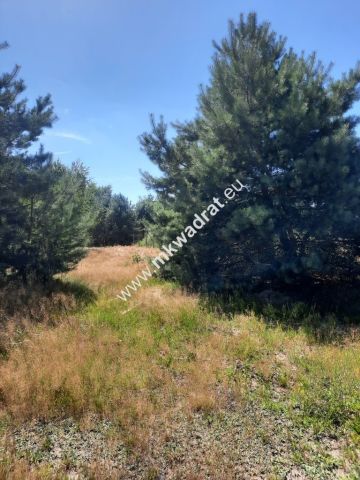 Działka budowlana Otrębusy. Zdjęcie 1