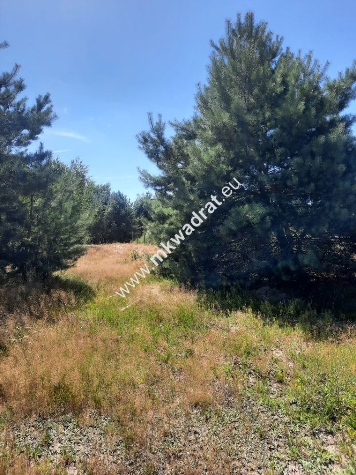 Działka budowlana Otrębusy. Zdjęcie 1