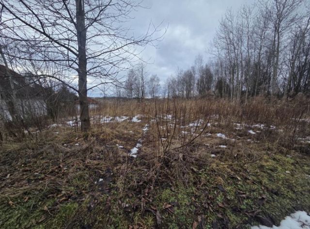 Działka budowlana Panieńszczyzna. Zdjęcie 1