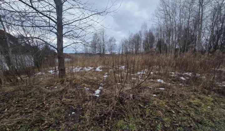 Działka budowlana Panieńszczyzna