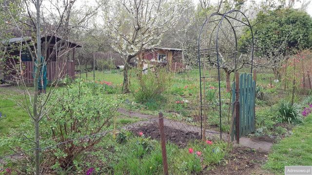 Działka rod Warszawa Mokotów, ul. Racławicka. Zdjęcie 1