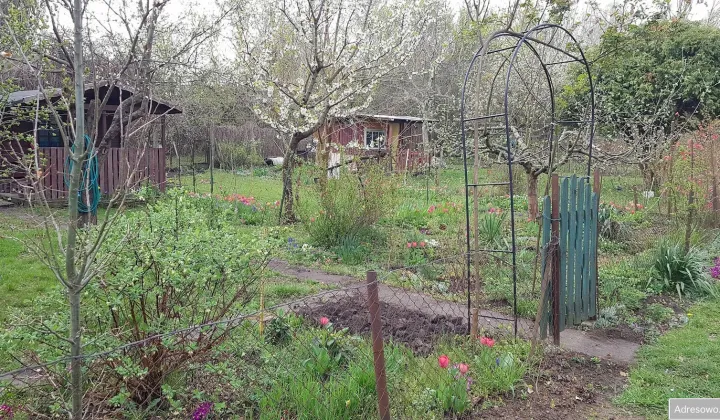 Działka rod Warszawa Mokotów, ul. Racławicka