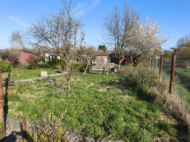 Działka rod Radomsko. Zdjęcie 1