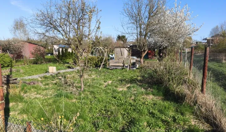 Działka rod Radomsko