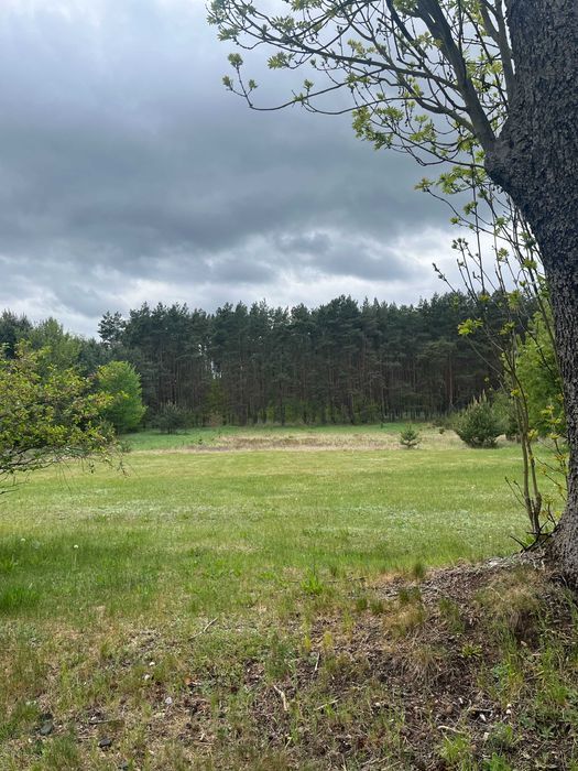 Działka budowlana Pszczelnik. Zdjęcie 3