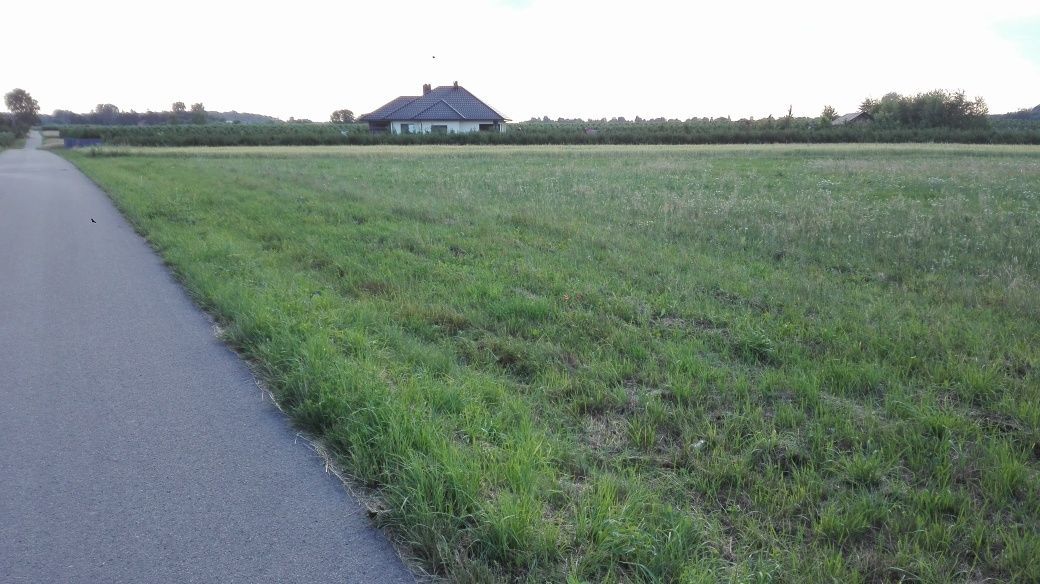 Działka rolno-budowlana Sulisławice. Zdjęcie 6