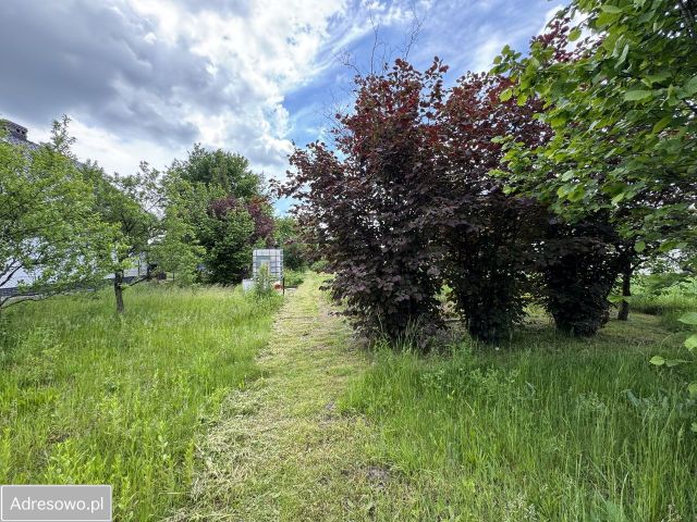 Działka rolno-budowlana Jeżowe. Zdjęcie 1
