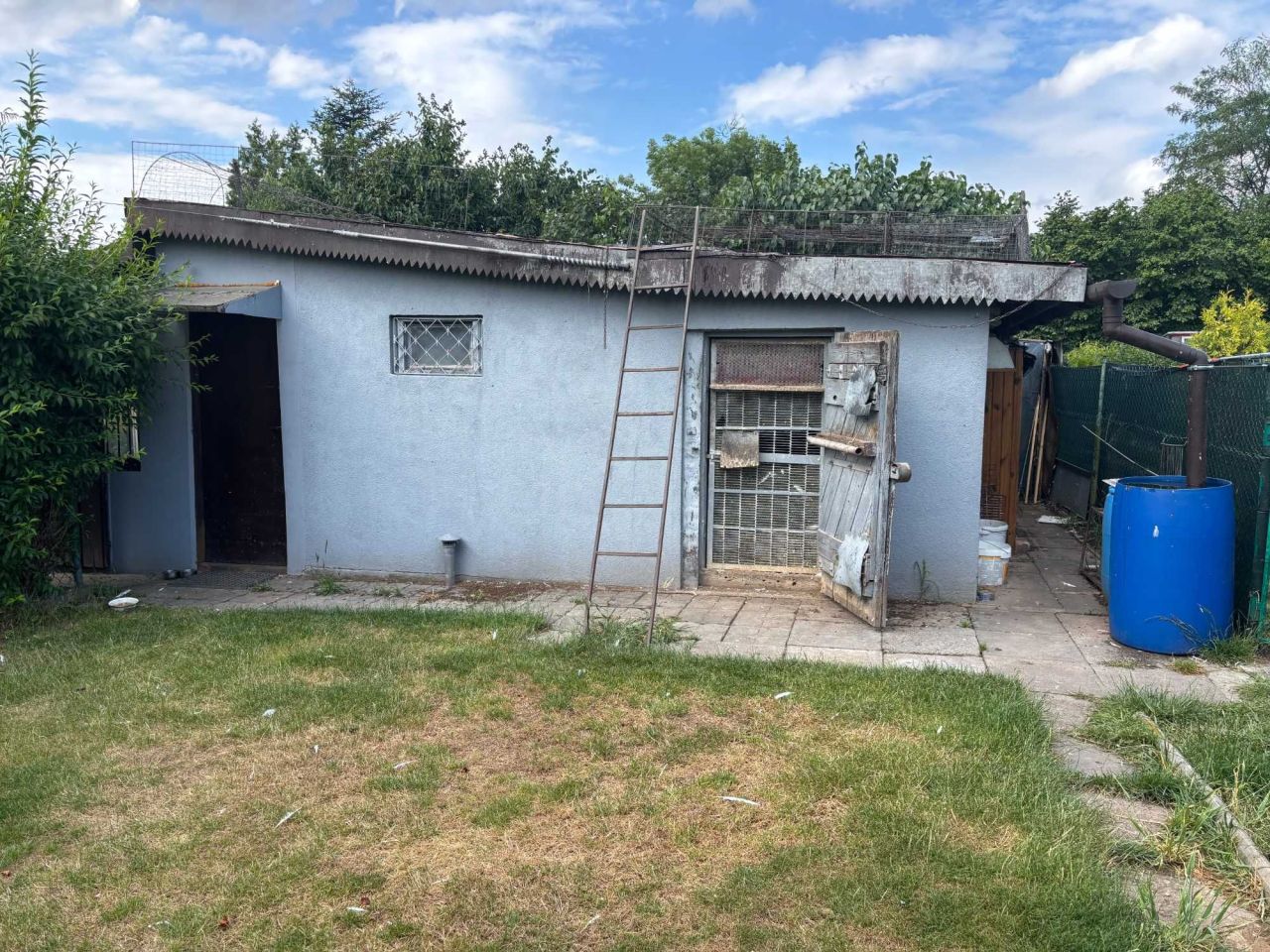 Działka rod Piotrków Trybunalski, ul. Wilcza. Zdjęcie 4