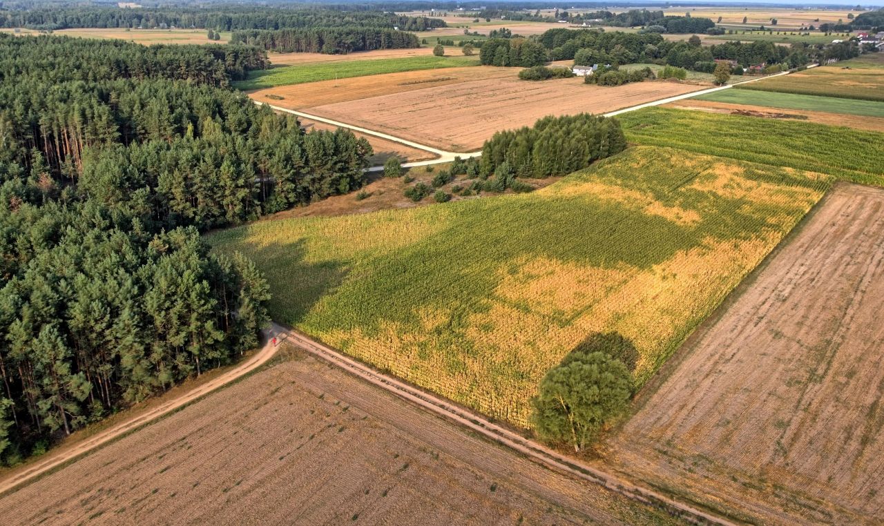 Działka budowlana Krypno Wielkie, brak. Zdjęcie 2