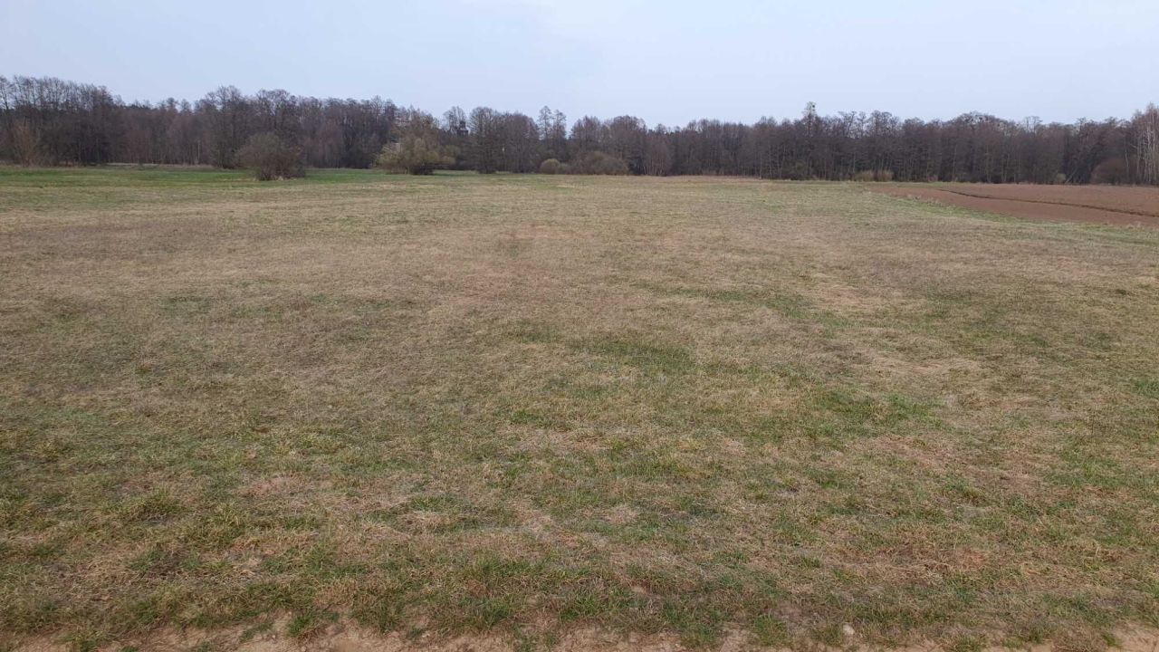 Działka rolna Królewo. Zdjęcie 6