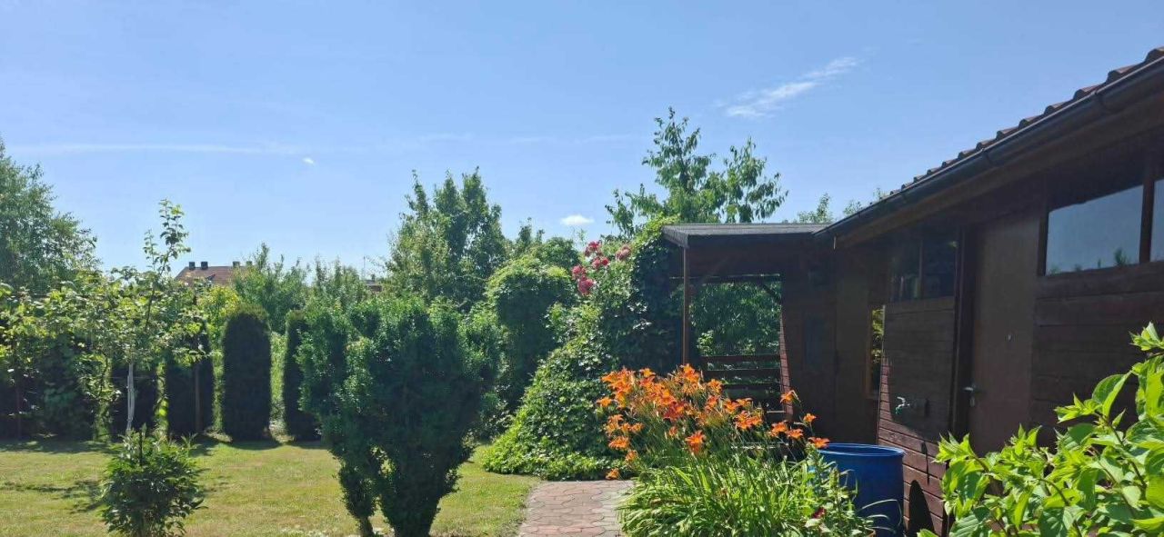 Działka rod Wronki, ul. Polna. Zdjęcie 3