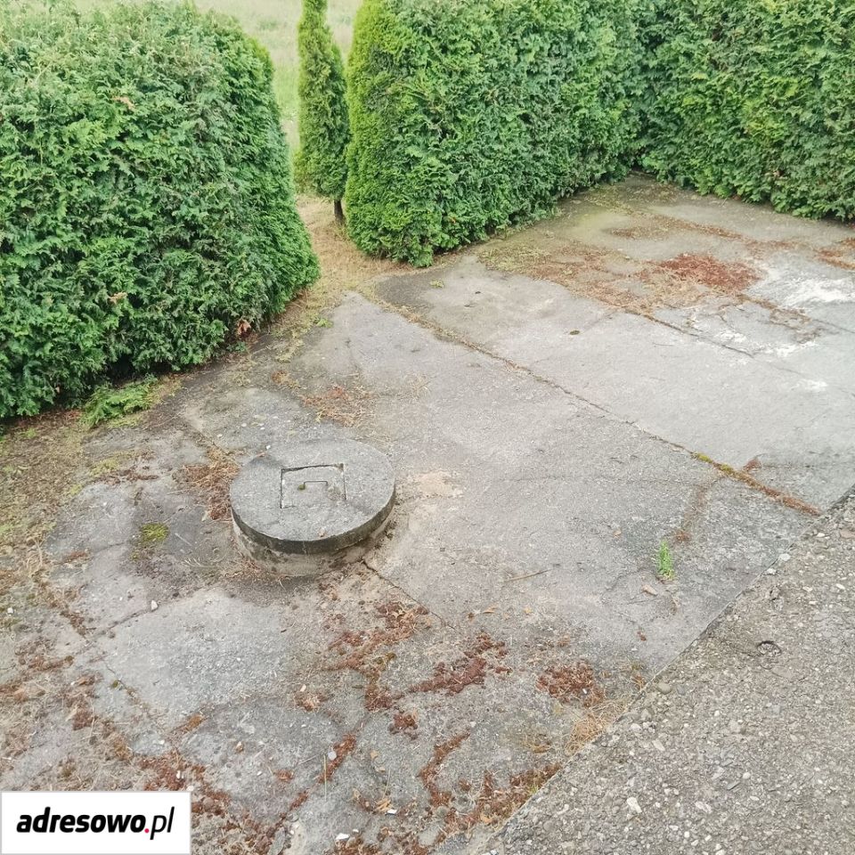 dom wolnostojący, 8 pokoi Godów, ul. Powstańców Śląskich. Zdjęcie 16