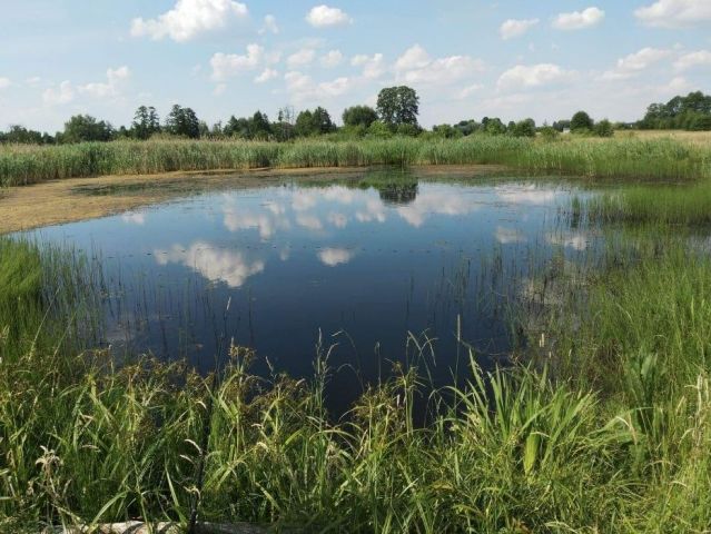 Działka rolna Cisówka. Zdjęcie 1