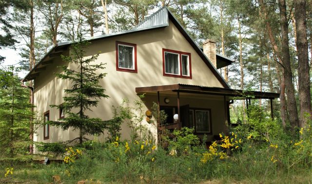 Działka leśna Krajęczyn. Zdjęcie 1