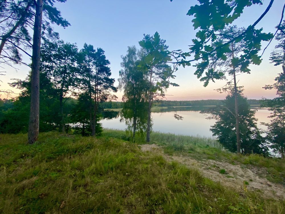 Działka rekreacyjna Spore. Zdjęcie 6