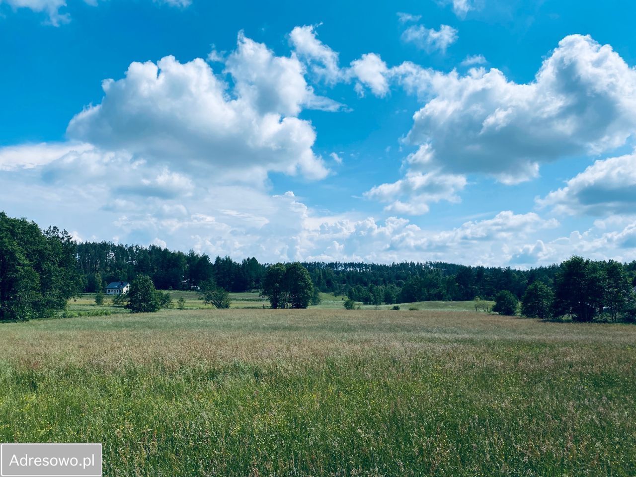Działka rekreacyjna Sulęczyno, ul. Brzozowa. Zdjęcie 6