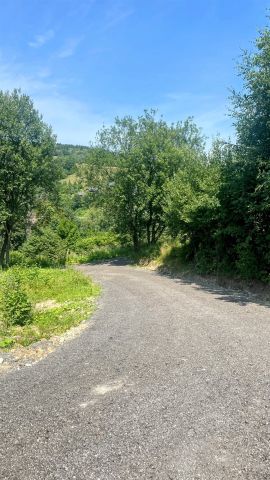 dom wolnostojący Krynica-Zdrój Słotwiny. Zdjęcie 15