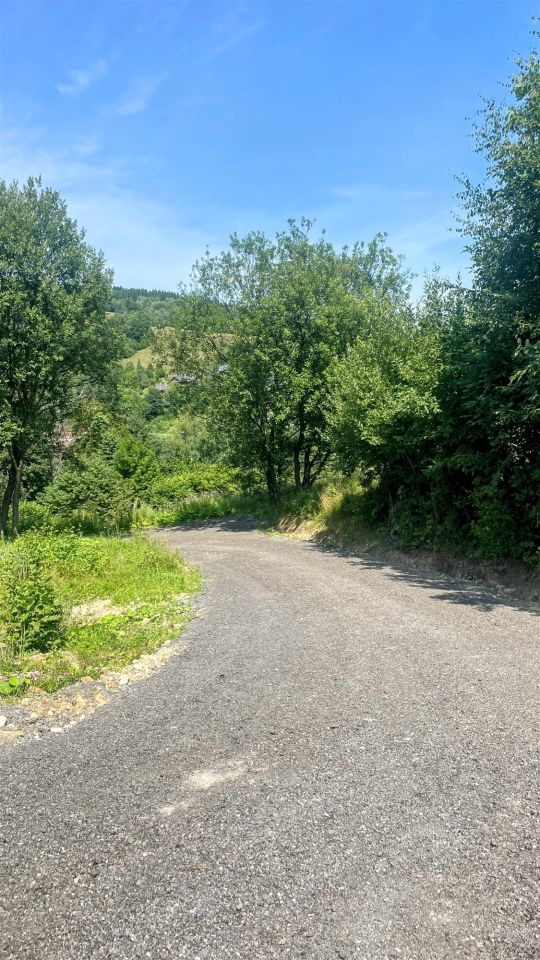 dom wolnostojący Krynica-Zdrój Słotwiny. Zdjęcie 15