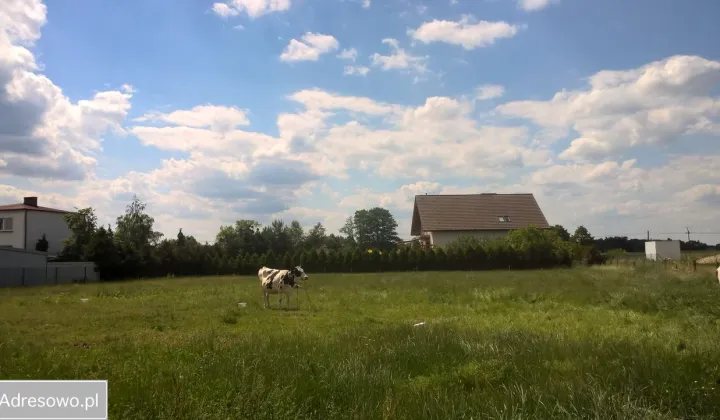 Działka budowlana Lisowice, ul. Andrzejowa