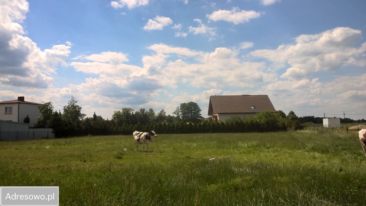 Działka budowlana Lisowice, ul. Andrzejowa